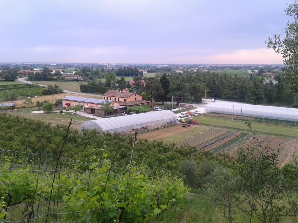 مبيت وإفطار تشيزينا Agriturismo Perugini المظهر الخارجي الصورة