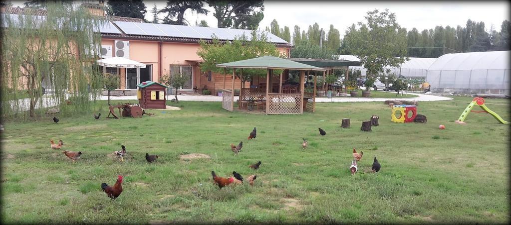 مبيت وإفطار تشيزينا Agriturismo Perugini المظهر الخارجي الصورة
